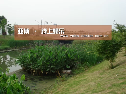 案例展示四(图1)