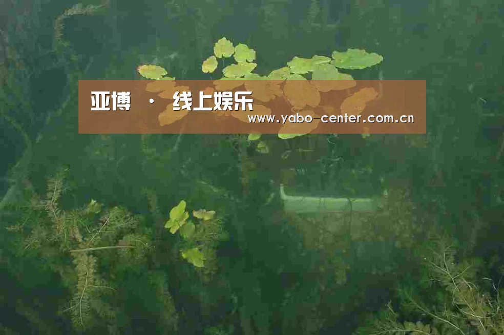 案例展示三(图1)