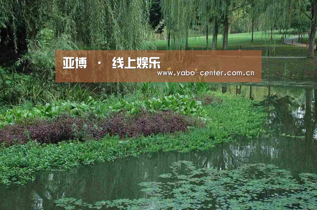 案例展示一(图1)