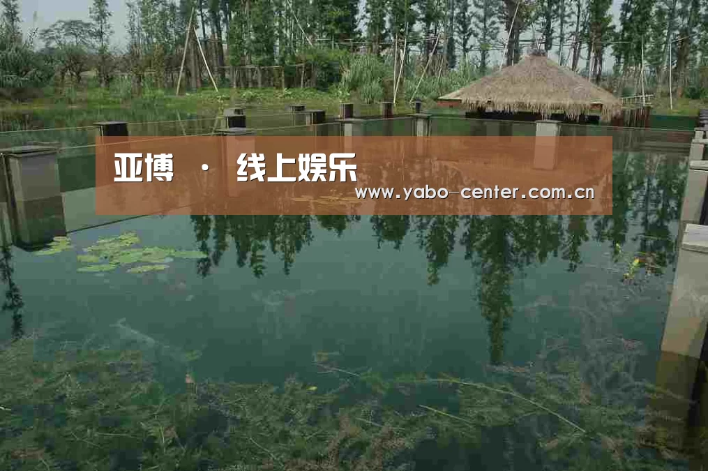 案例展示二(图1)