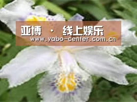 产品名称二