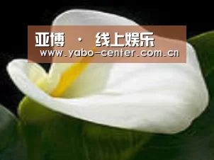 产品名称七