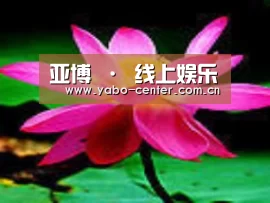 产品名称五