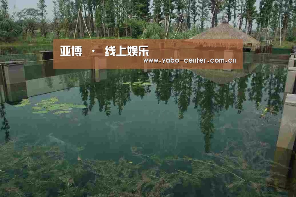 案例展示二