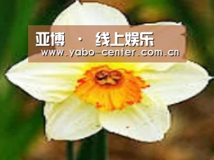 产品名称四