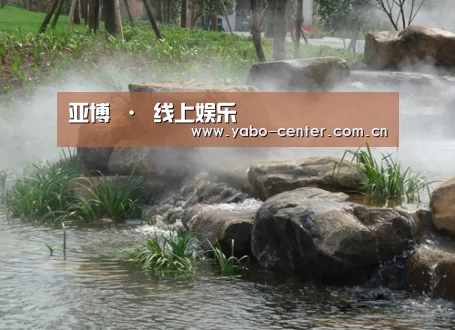 案例展示五