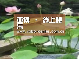 产品名称一