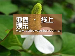 产品名称三