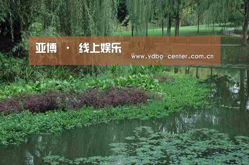 案例展示一