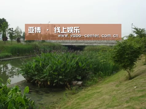案例展示四