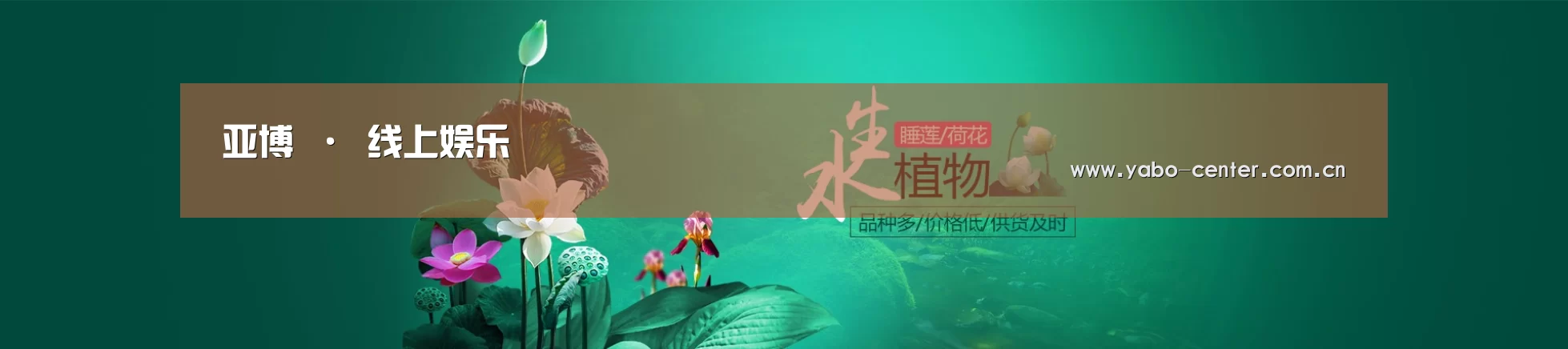 鲜花水草花卉网站模板