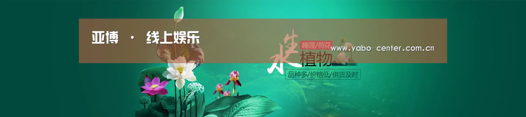 鲜花水草花卉网站模板