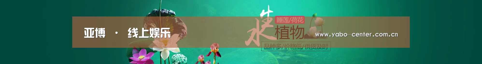 鲜花水草花卉网站模板